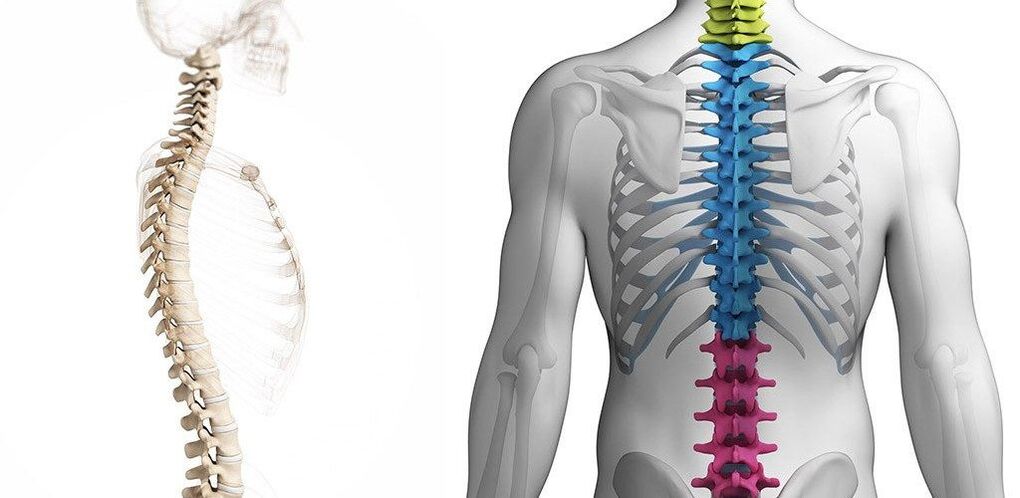 thoracic spine lesions with osteochondrosis